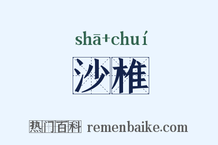沙椎是什么意思的图片